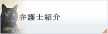弁護士紹介